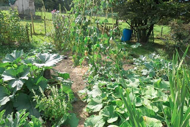 B&B Ferme Du Petit Breuil Verviers Zewnętrze zdjęcie